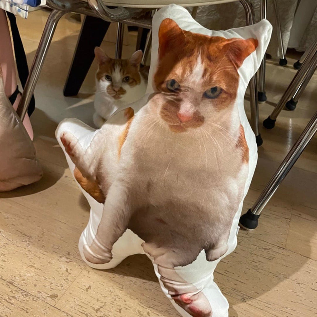 萌寵醜抱枕 - Uglysui