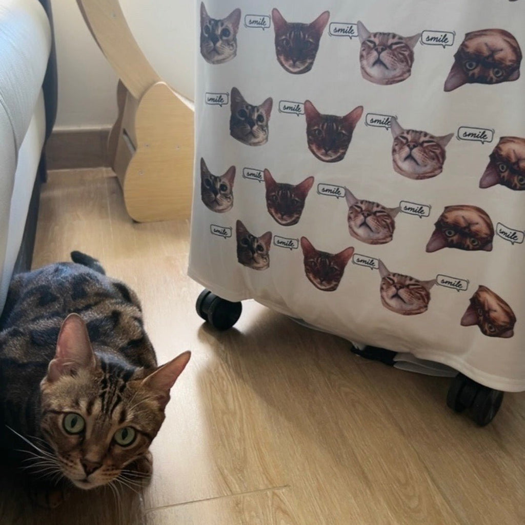 行李箱套 - Uglysui