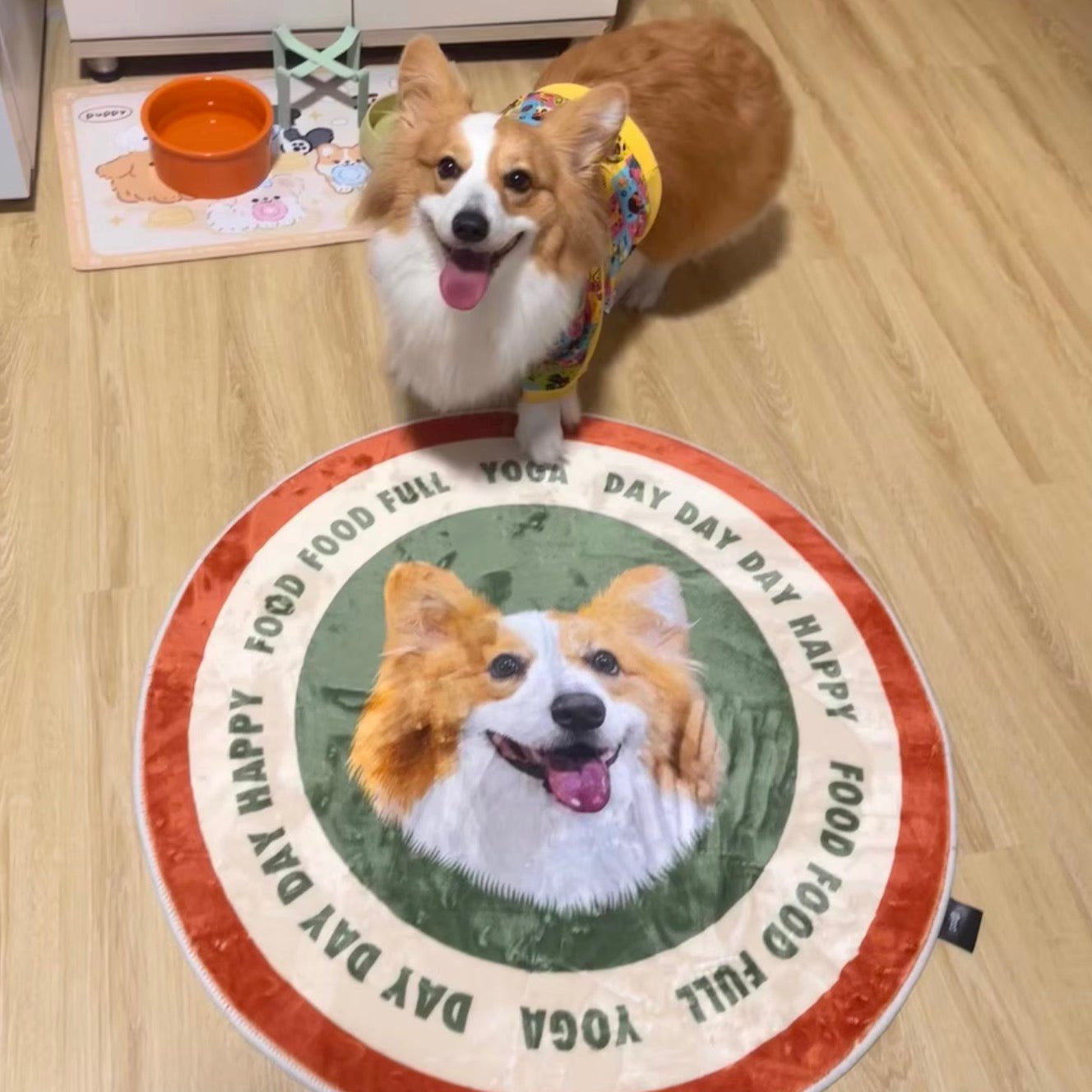 萌寵訂製地毯 - Uglysui