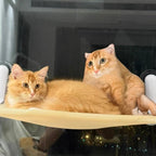 萌寵醜抱枕 - Uglysui