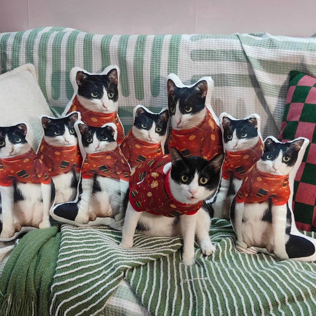 萌寵醜抱枕 - Uglysui