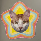 異形地毯 - Uglysui