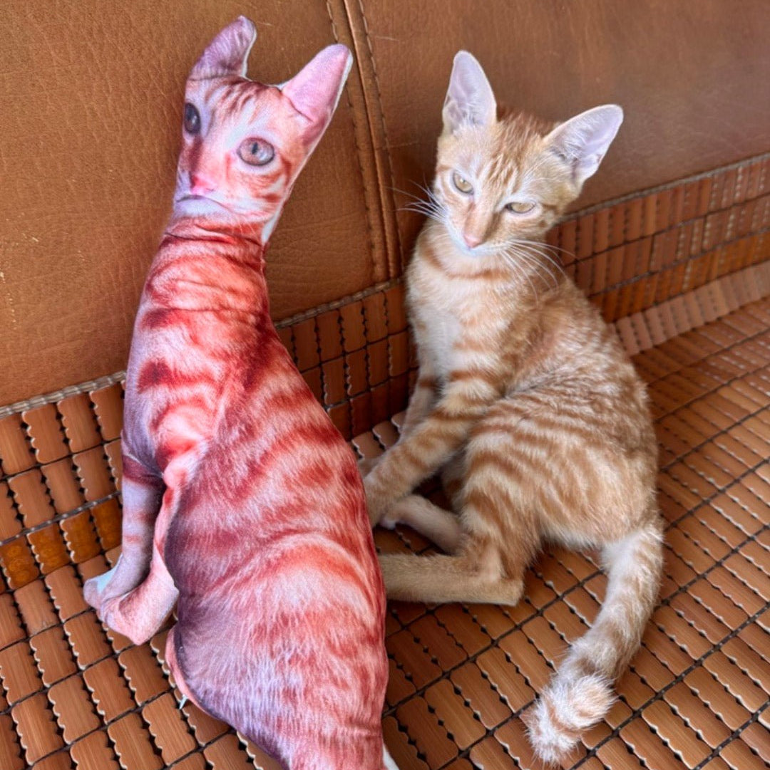 萌寵醜抱枕 - Uglysui