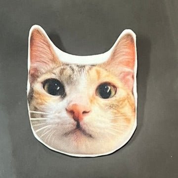 定製零錢包 - Uglysui