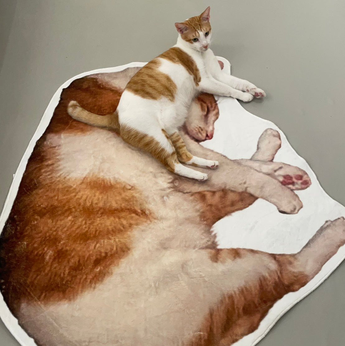 異形地毯 - Uglysui