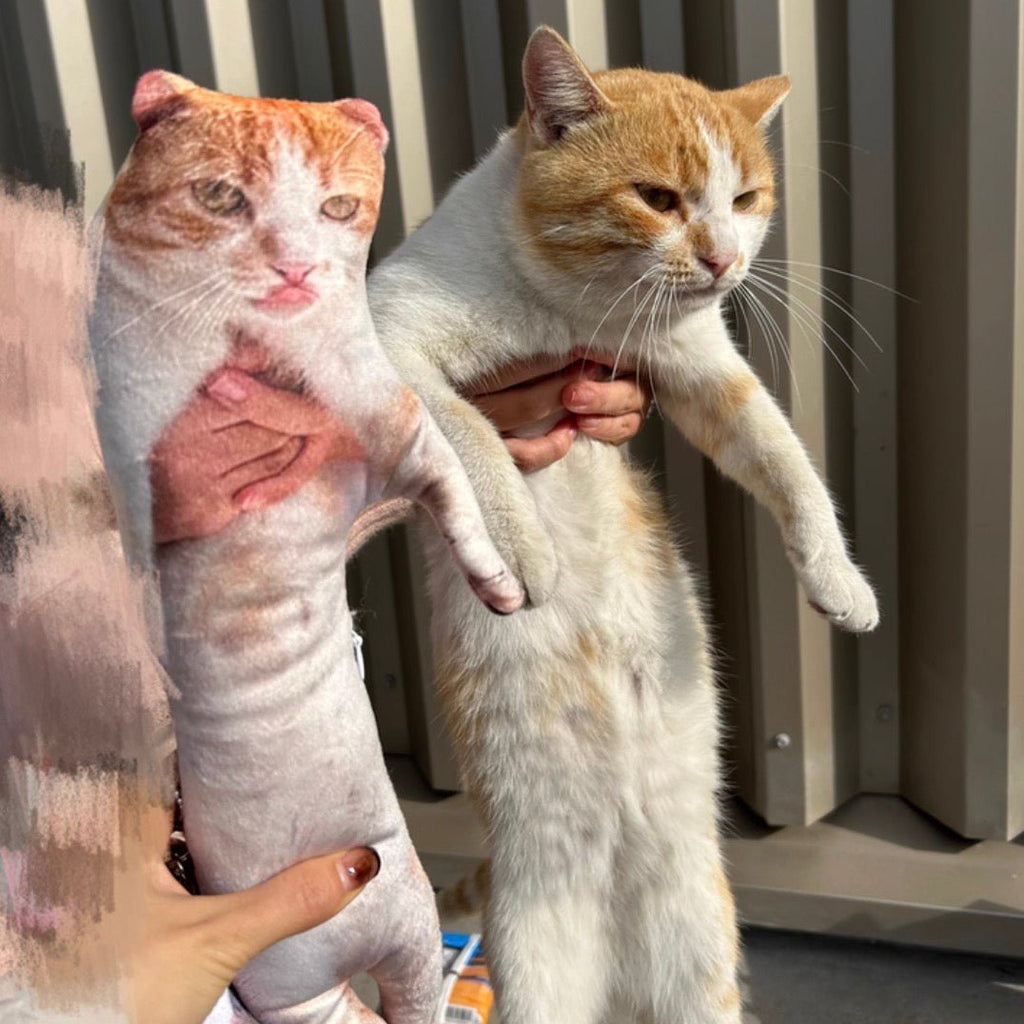 萌寵醜抱枕 - Uglysui