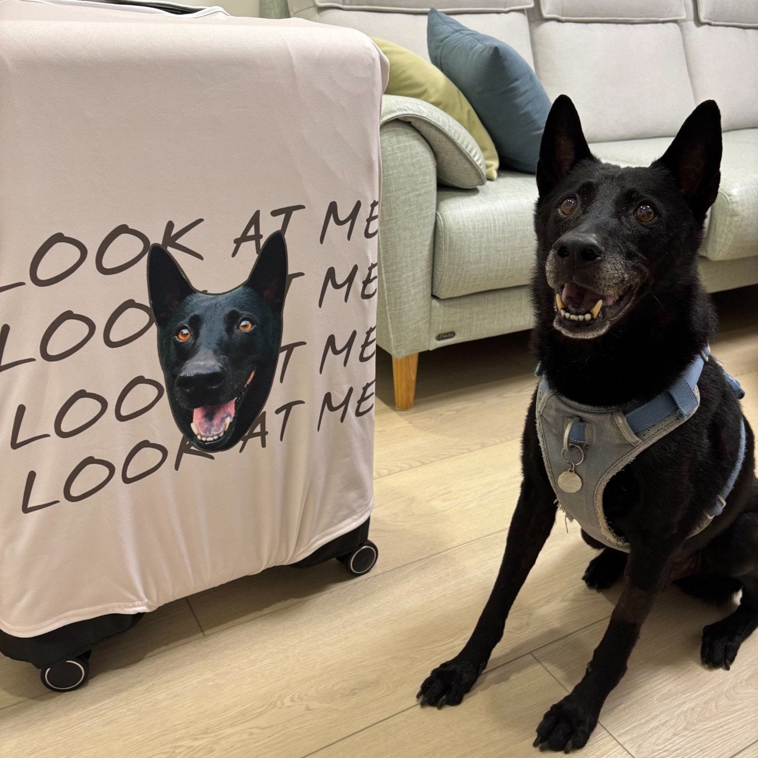 行李箱套 - Uglysui