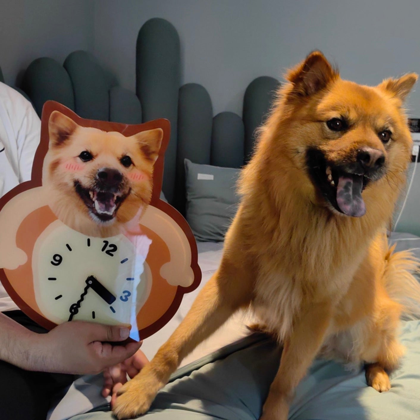 萌寵訂製時鐘 - Uglysui