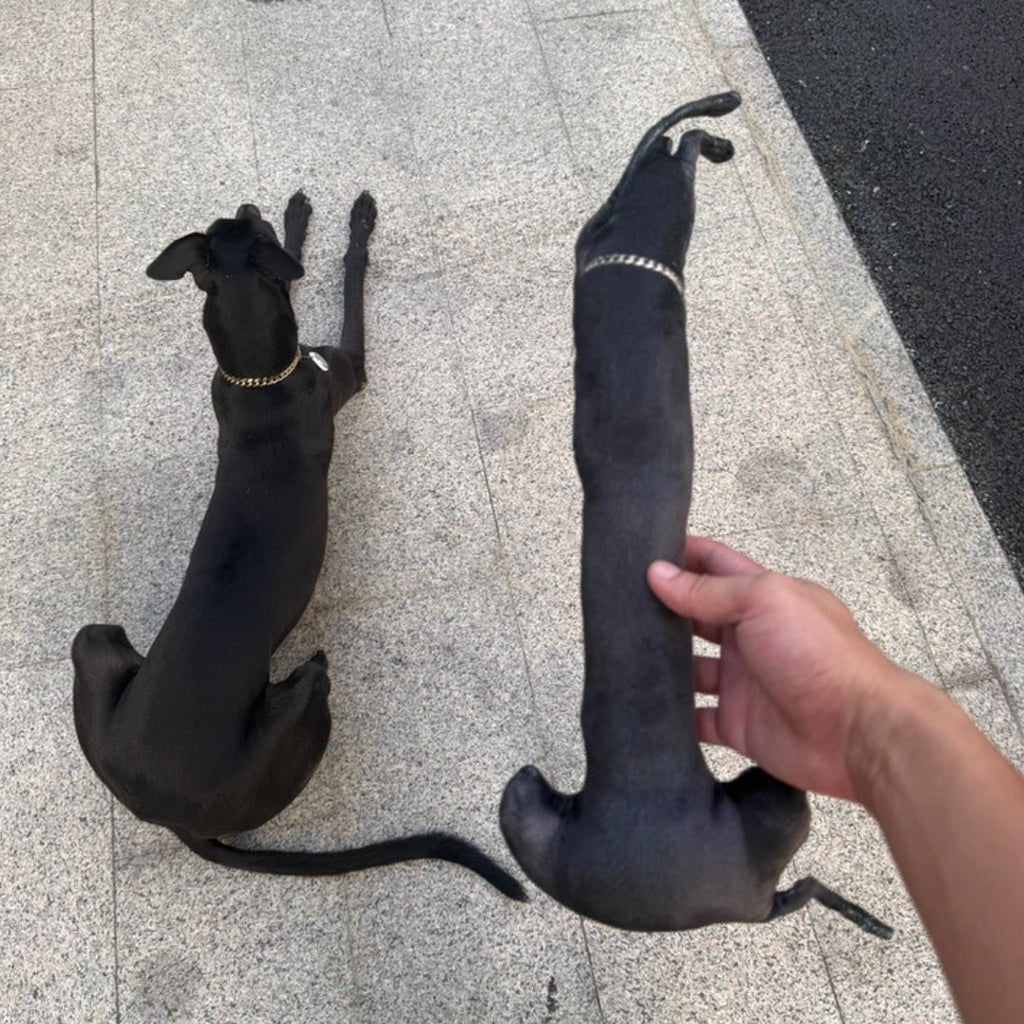 萌寵醜抱枕 - Uglysui