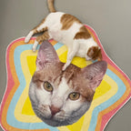 異形地毯 - Uglysui